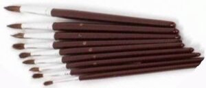 Soft Brush No 8 Pk 12